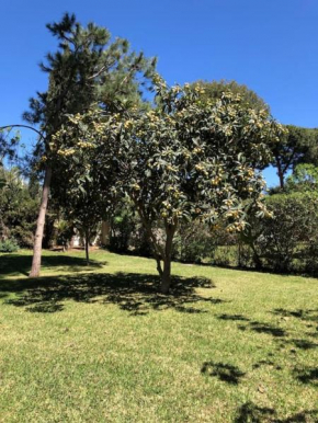 Bougainvillea Beachside Apartment, Marbella